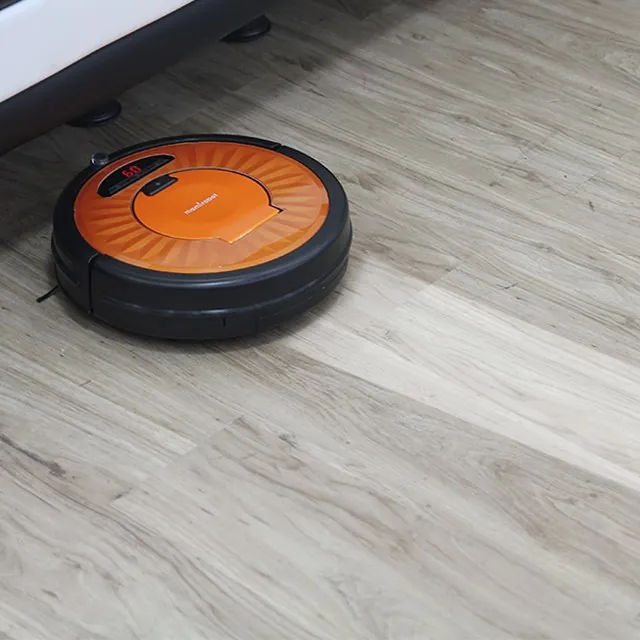 Limpieza del Hogar
